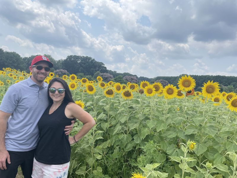 Nearby Sunflower Field