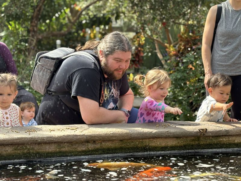 Feeding Fish