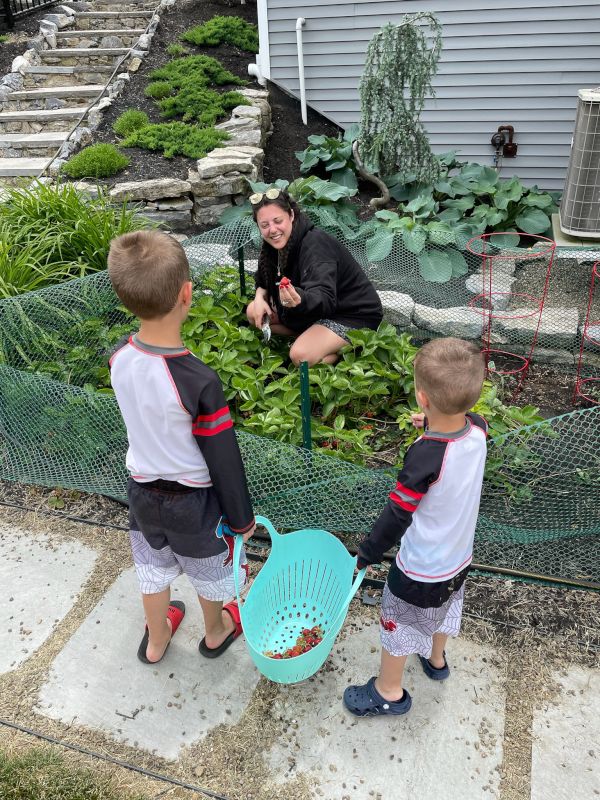 Our Strawberry Patch